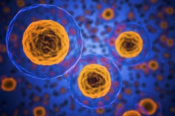 როგორ ხდება წონის დაკლების პროცესი